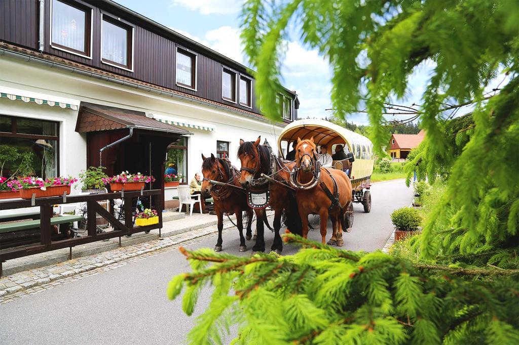 Gaststaette & Pension Waldquell Antonshohe 외부 사진